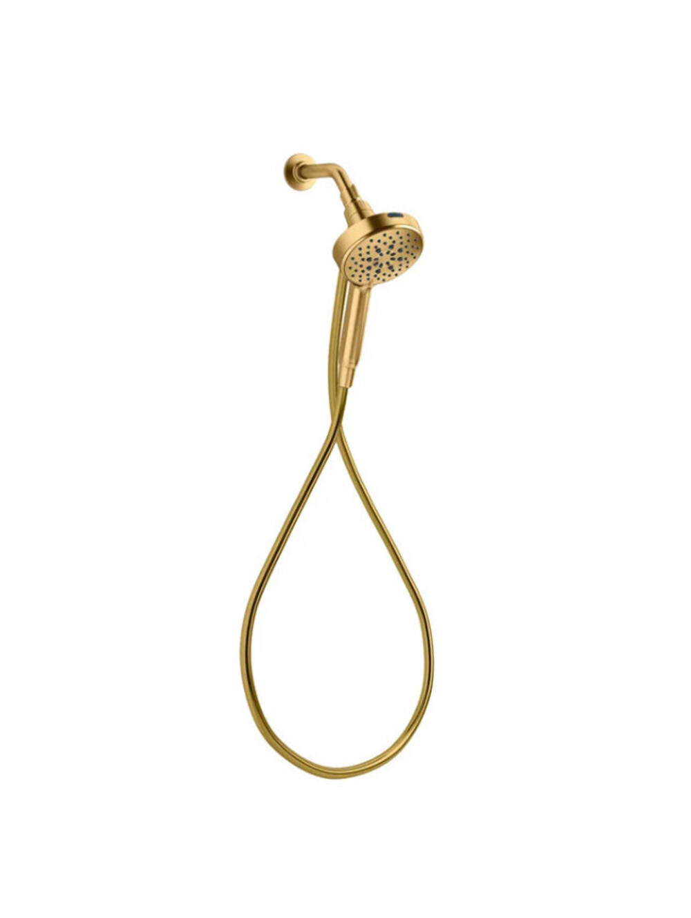 Kohler Assert 6-Function Handshower Brushed Moderne Brass Gold 72" Hose NEW